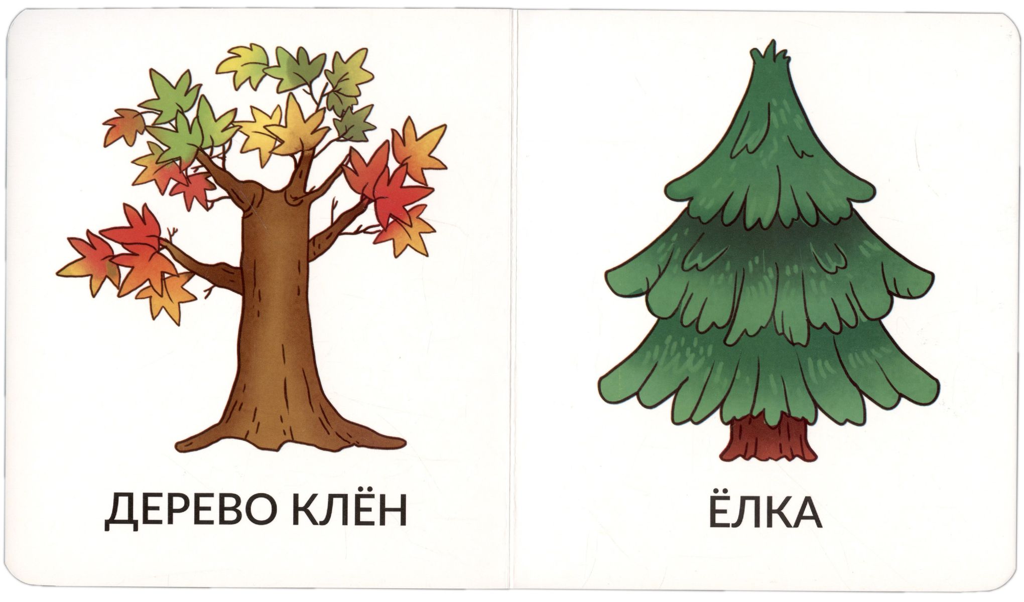 Manas pirmās vārdi. Pastaigā. 1-2 gadi