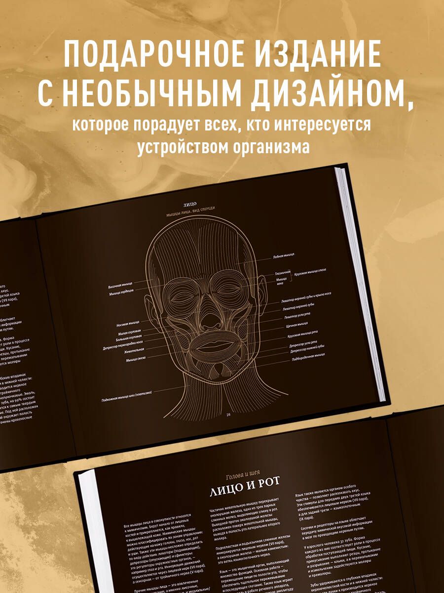 Anatomie in Schwarz. Medizinischer Atlas für Liebhaber von Luxus und Stil