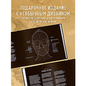 Anatomie in Schwarz. Medizinischer Atlas für Liebhaber von Luxus und Stil