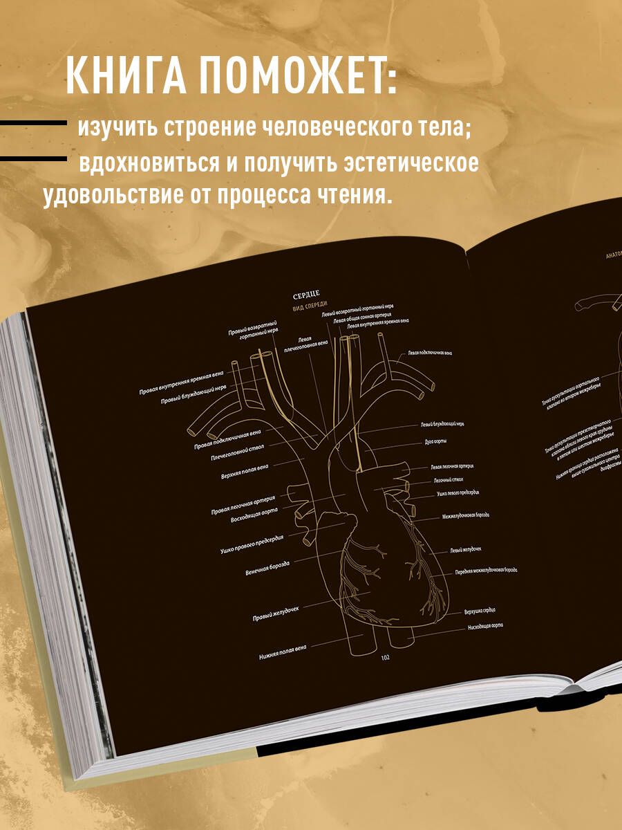 Anatomie in Schwarz. Medizinischer Atlas für Liebhaber von Luxus und Stil
