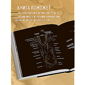 Anatomie in Schwarz. Medizinischer Atlas für Liebhaber von Luxus und Stil