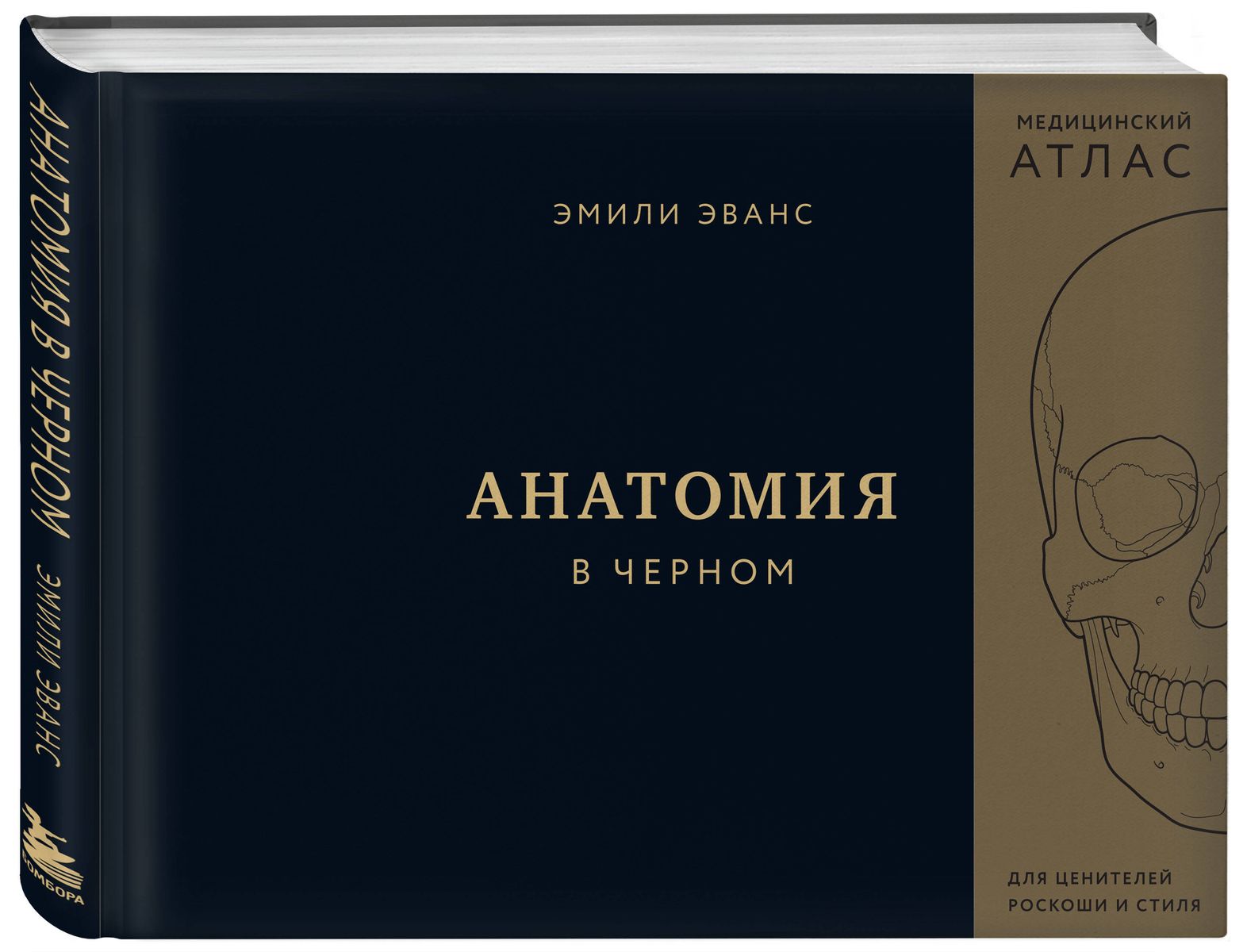 Anatomie in Schwarz. Medizinischer Atlas für Liebhaber von Luxus und Stil