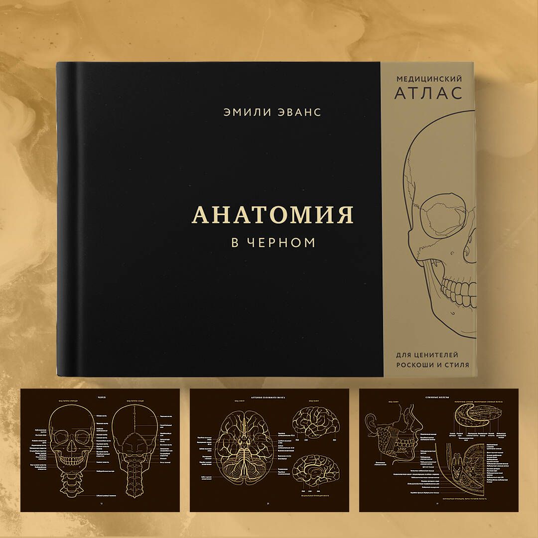 Anatomie in Schwarz. Medizinischer Atlas für Liebhaber von Luxus und Stil