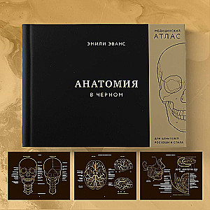 Anatomie in Schwarz. Medizinischer Atlas für Liebhaber von Luxus und Stil