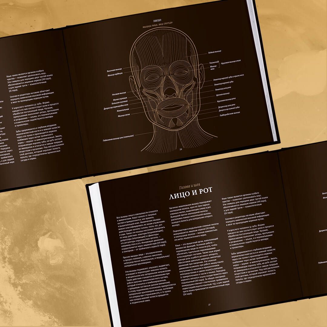 Anatomie in Schwarz. Medizinischer Atlas für Liebhaber von Luxus und Stil