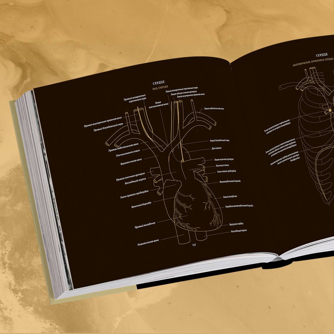 Anatomie in Schwarz. Medizinischer Atlas für Liebhaber von Luxus und Stil