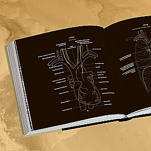 Anatomie in Schwarz. Medizinischer Atlas für Liebhaber von Luxus und Stil