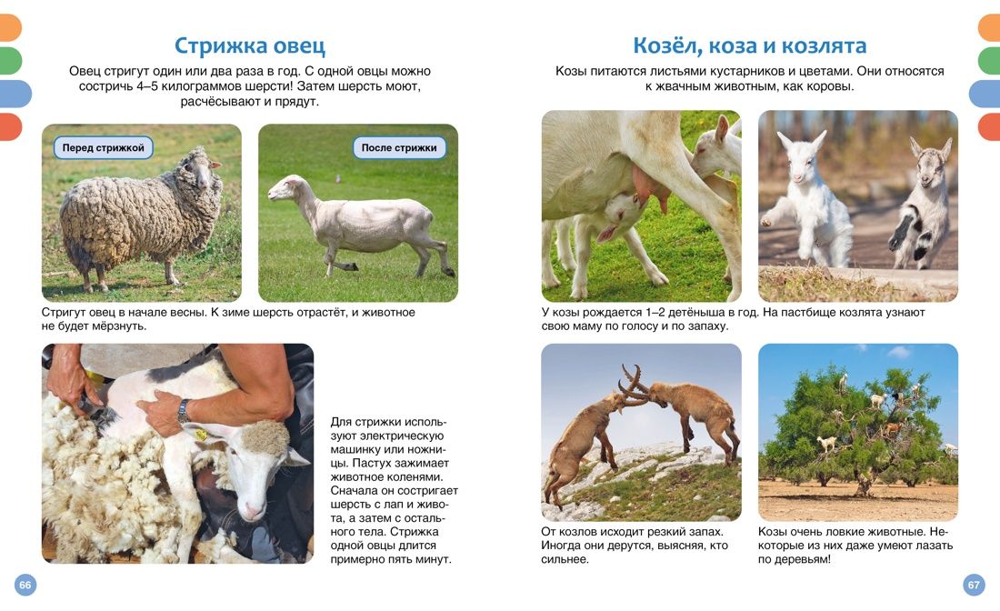 Полезные машины и животные фермы