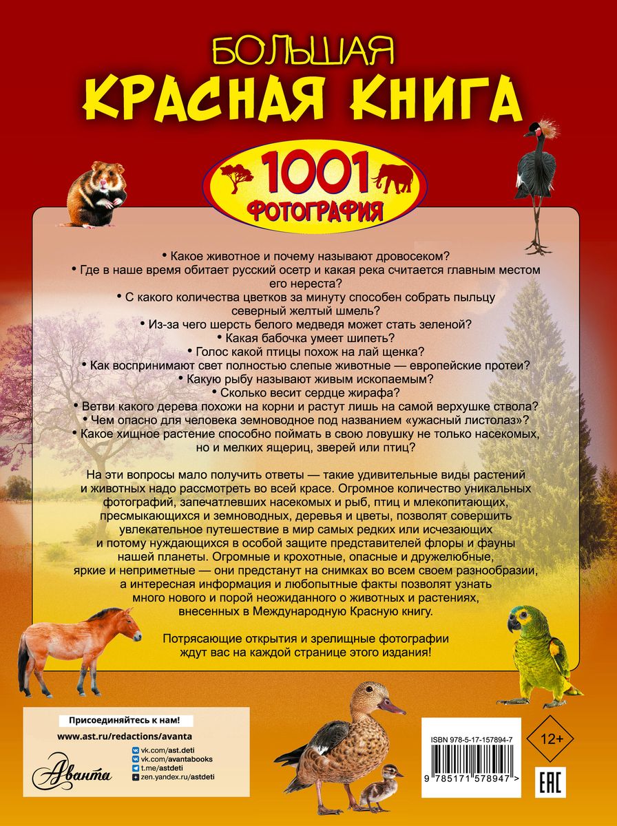 Lielā sarkanā grāmata. 1001 fotogrāfija
