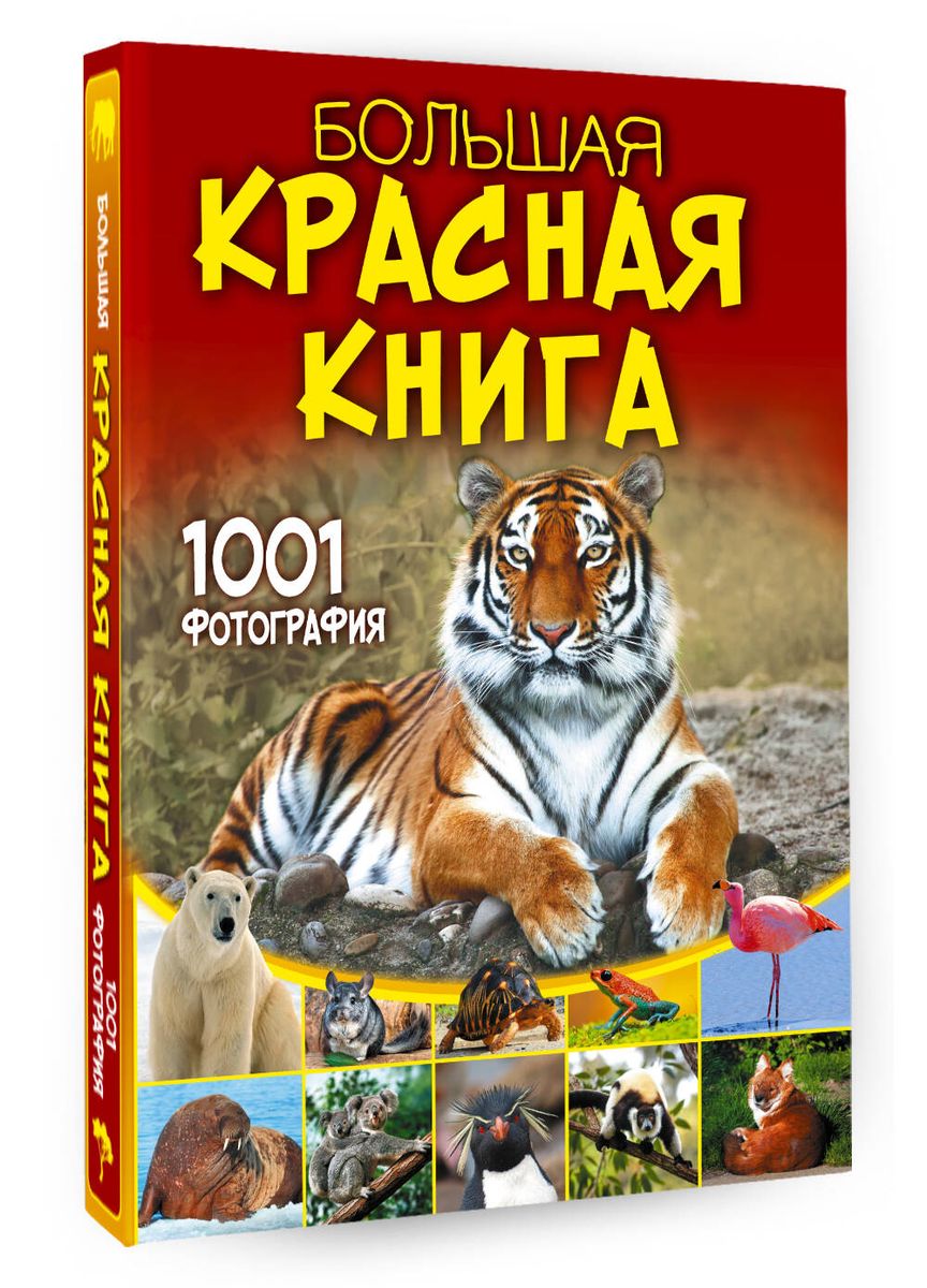 Lielā sarkanā grāmata. 1001 fotogrāfija