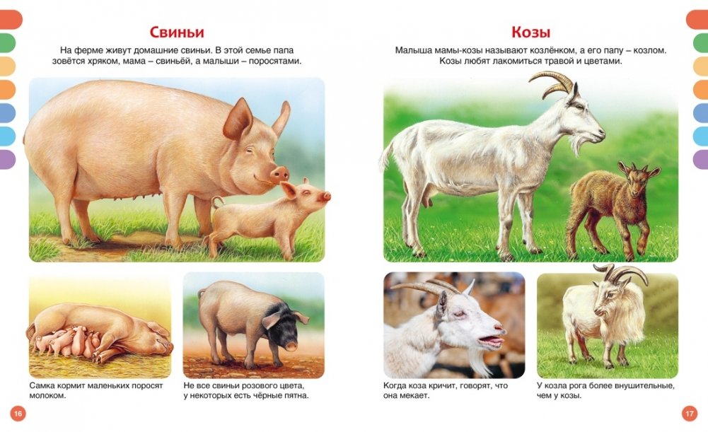 Dzīvnieki dažādās valstīs