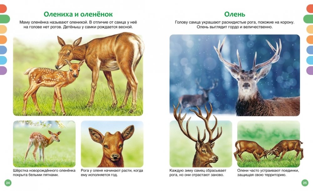 Dzīvnieki dažādās valstīs