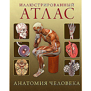 Illustrated Atlas. Human Anatomy