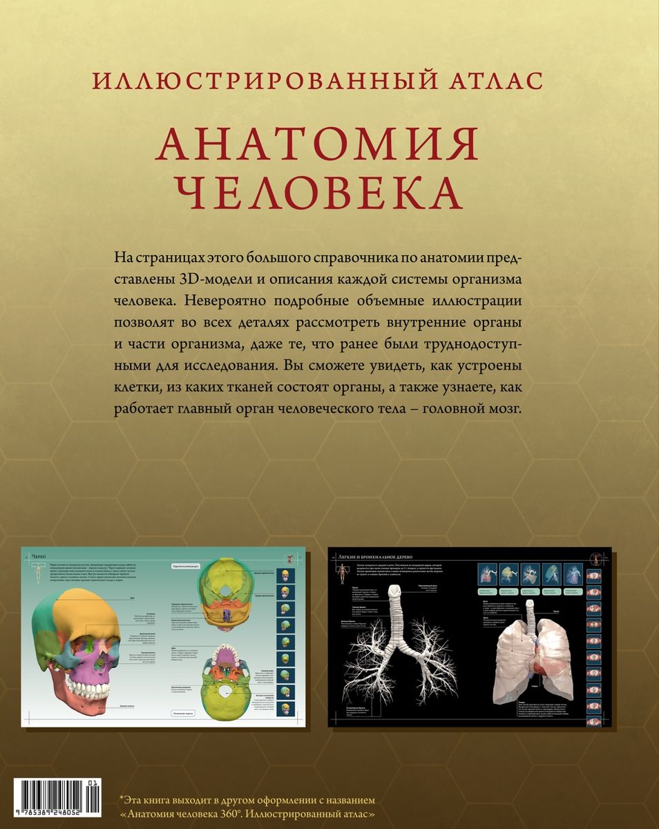 Illustrated Atlas. Human Anatomy