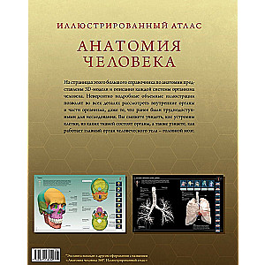 Illustrated Atlas. Human Anatomy