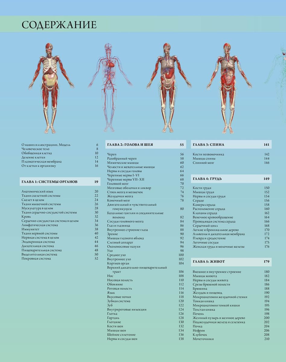 Illustrated Atlas. Human Anatomy