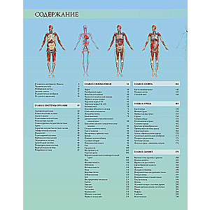 Illustrated Atlas. Human Anatomy