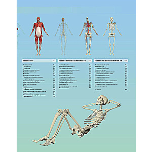 Illustrated Atlas. Human Anatomy