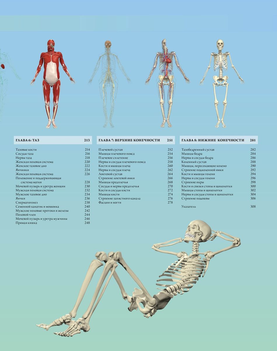 Illustrated Atlas. Human Anatomy