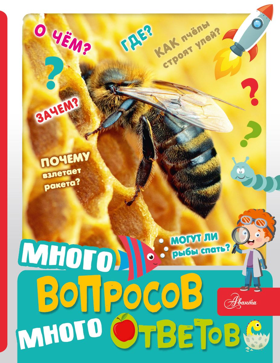 Many Questions, Many Answers