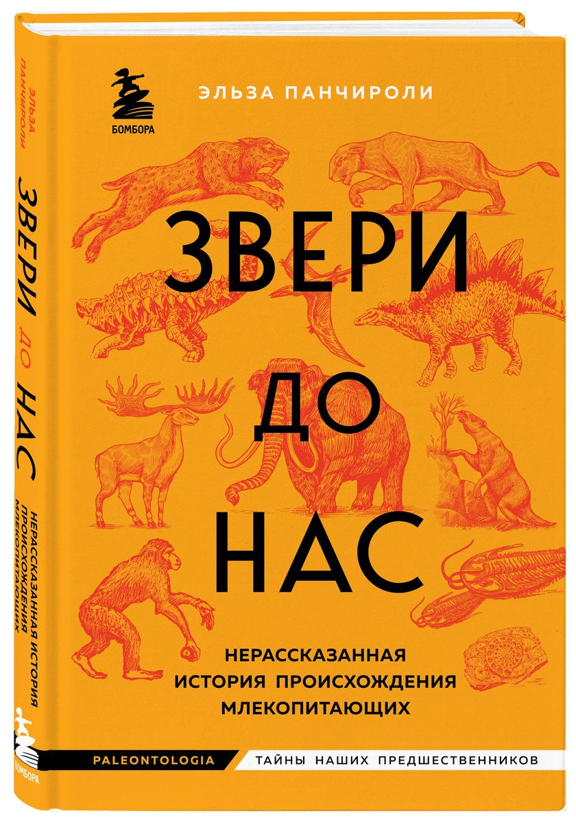 Animals Before Us. The Untold Story of Mammal Origins