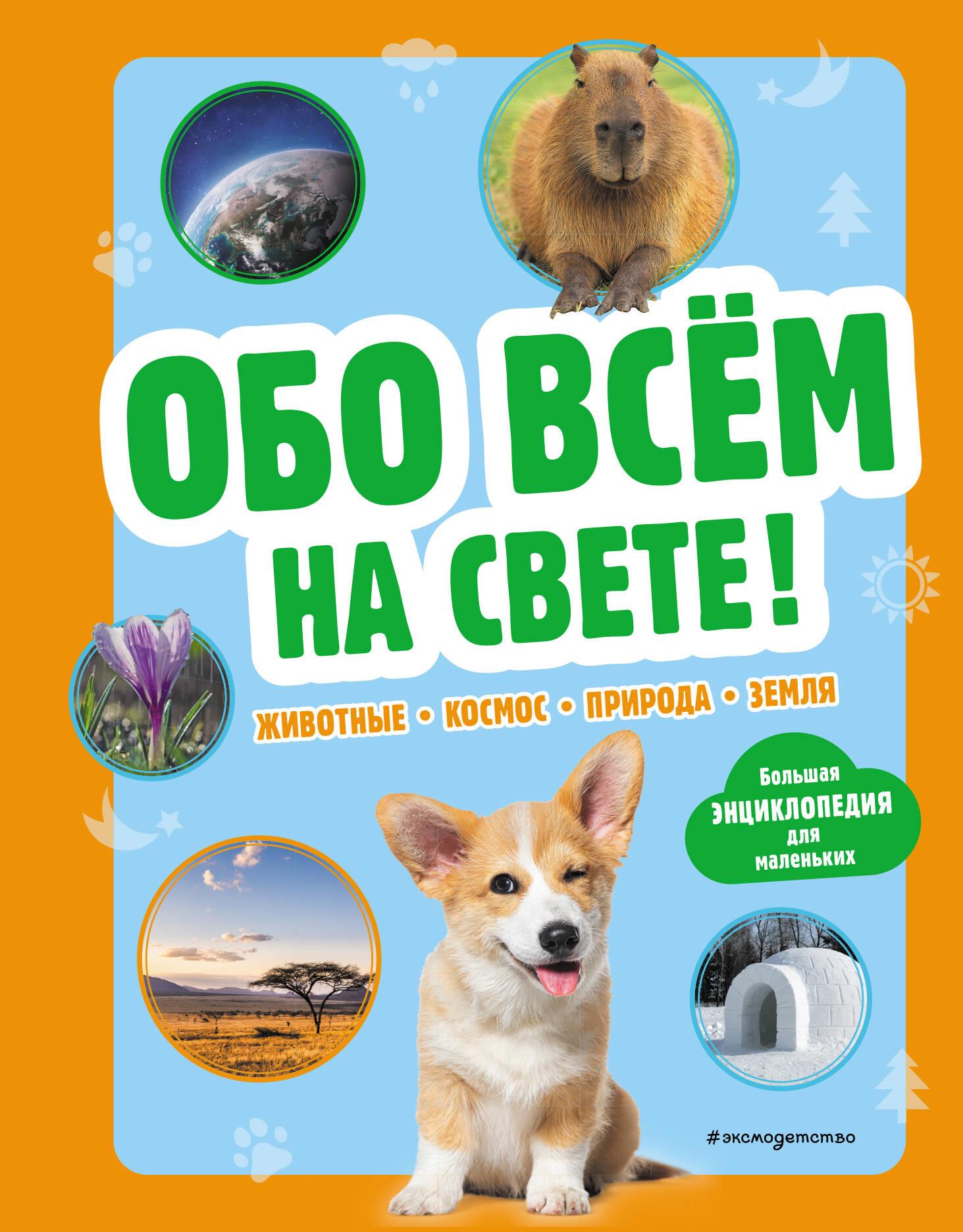 Everything in the World! A Big Encyclopedia for Little Ones