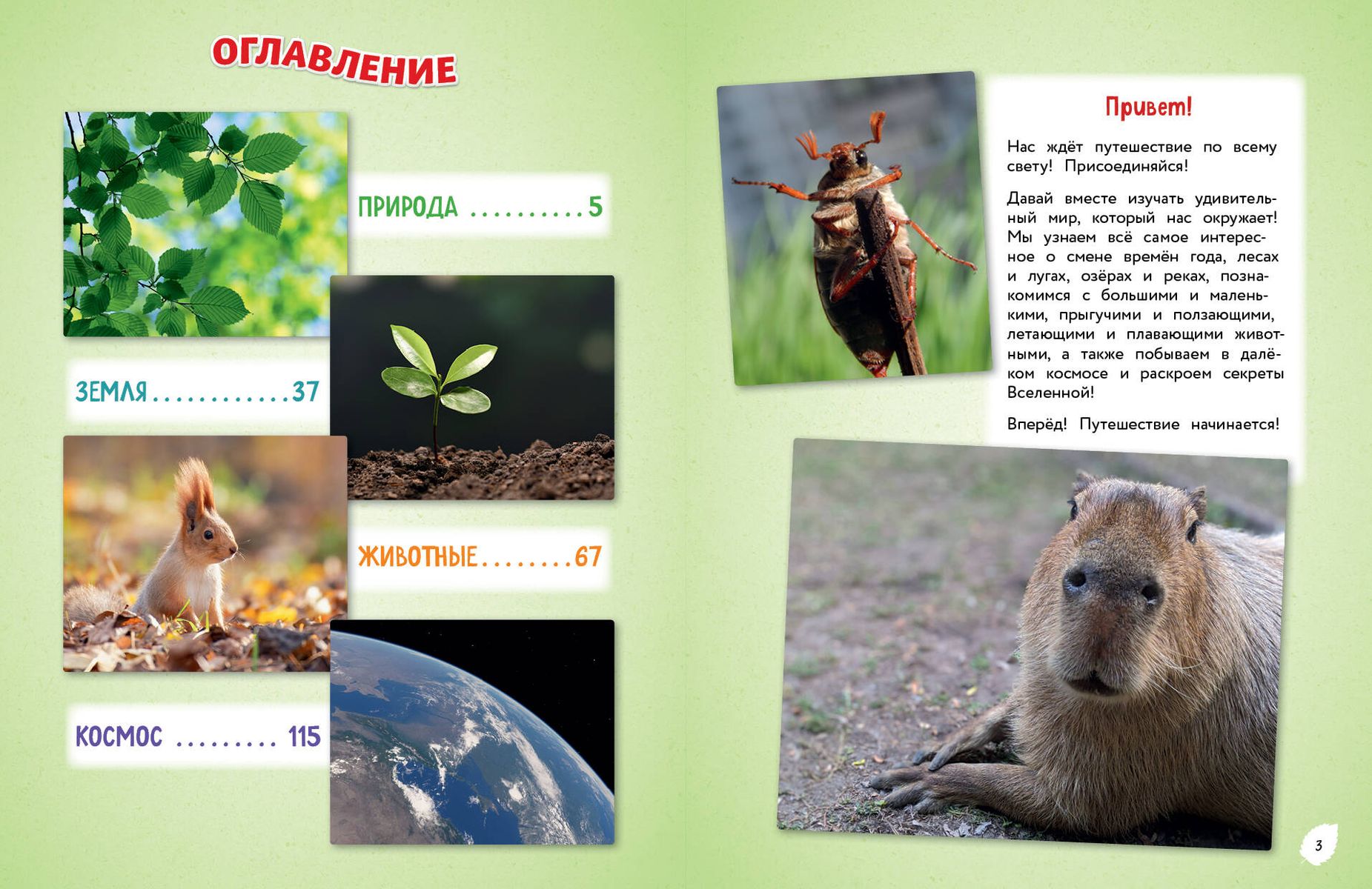 O wszystkim na świecie! Wielka encyklopedia dla małych