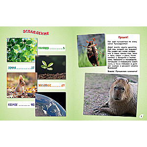 O wszystkim na świecie! Wielka encyklopedia dla małych