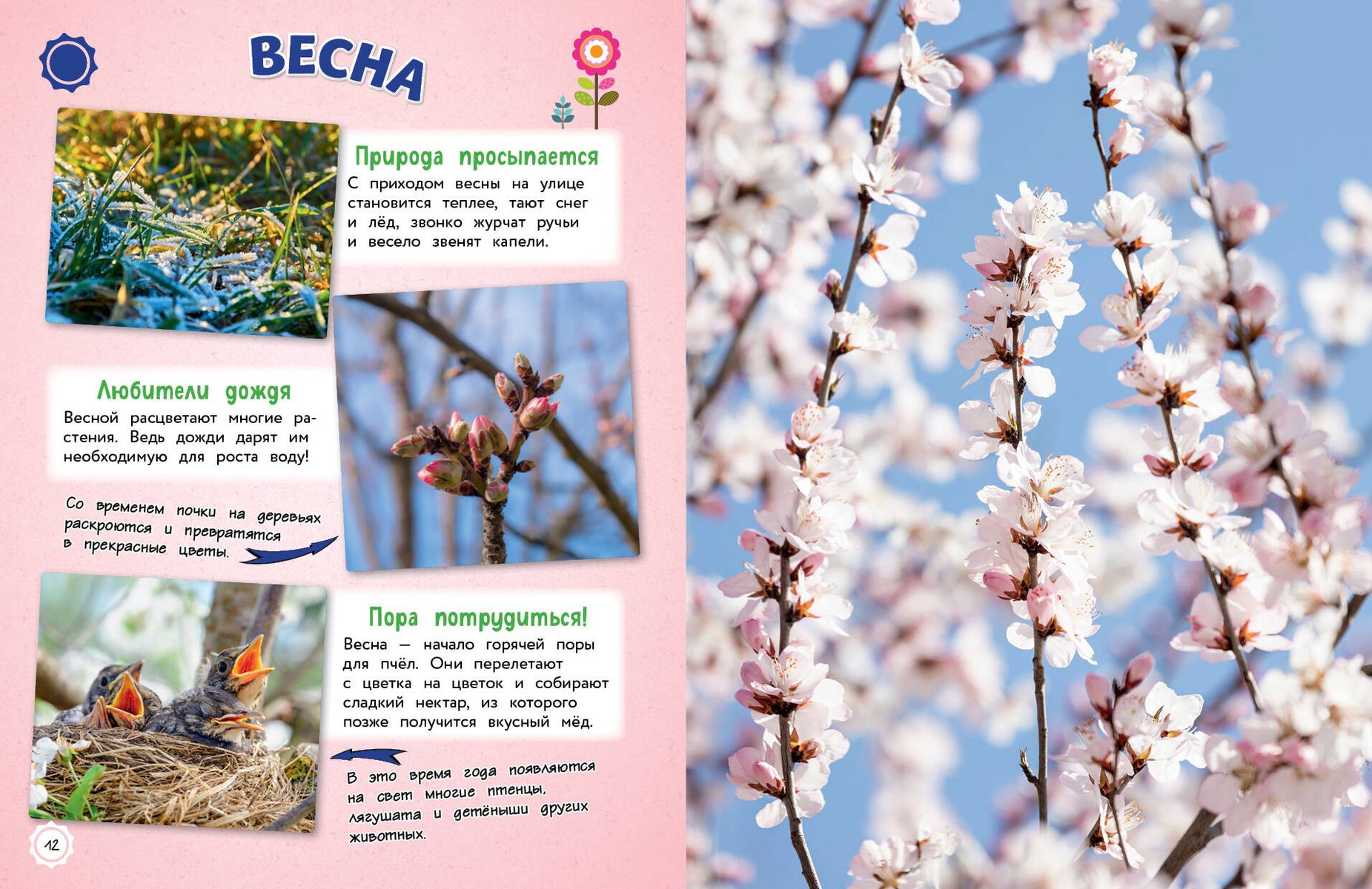 O wszystkim na świecie! Wielka encyklopedia dla małych