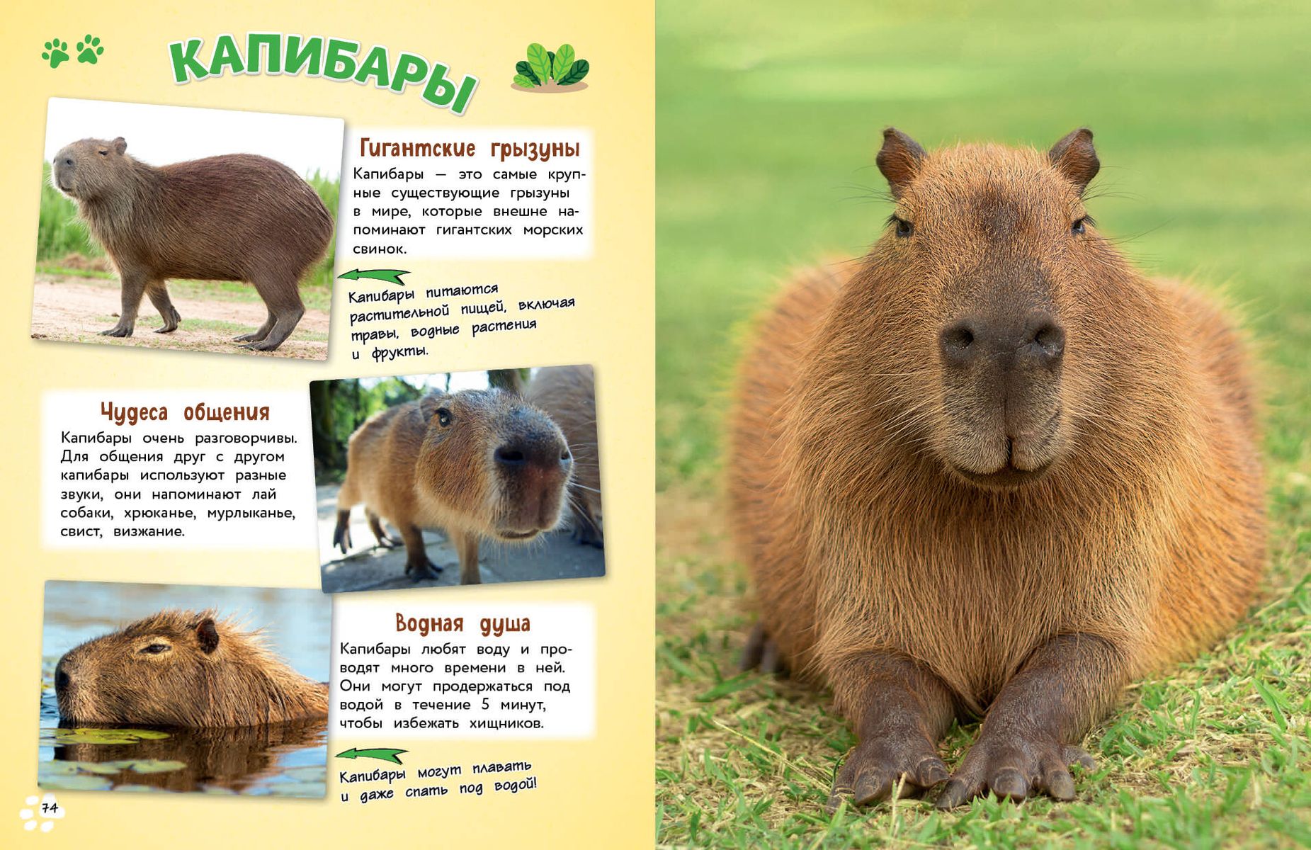 O wszystkim na świecie! Wielka encyklopedia dla małych