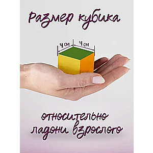 9 kostek Trzy koty. Na spacerze