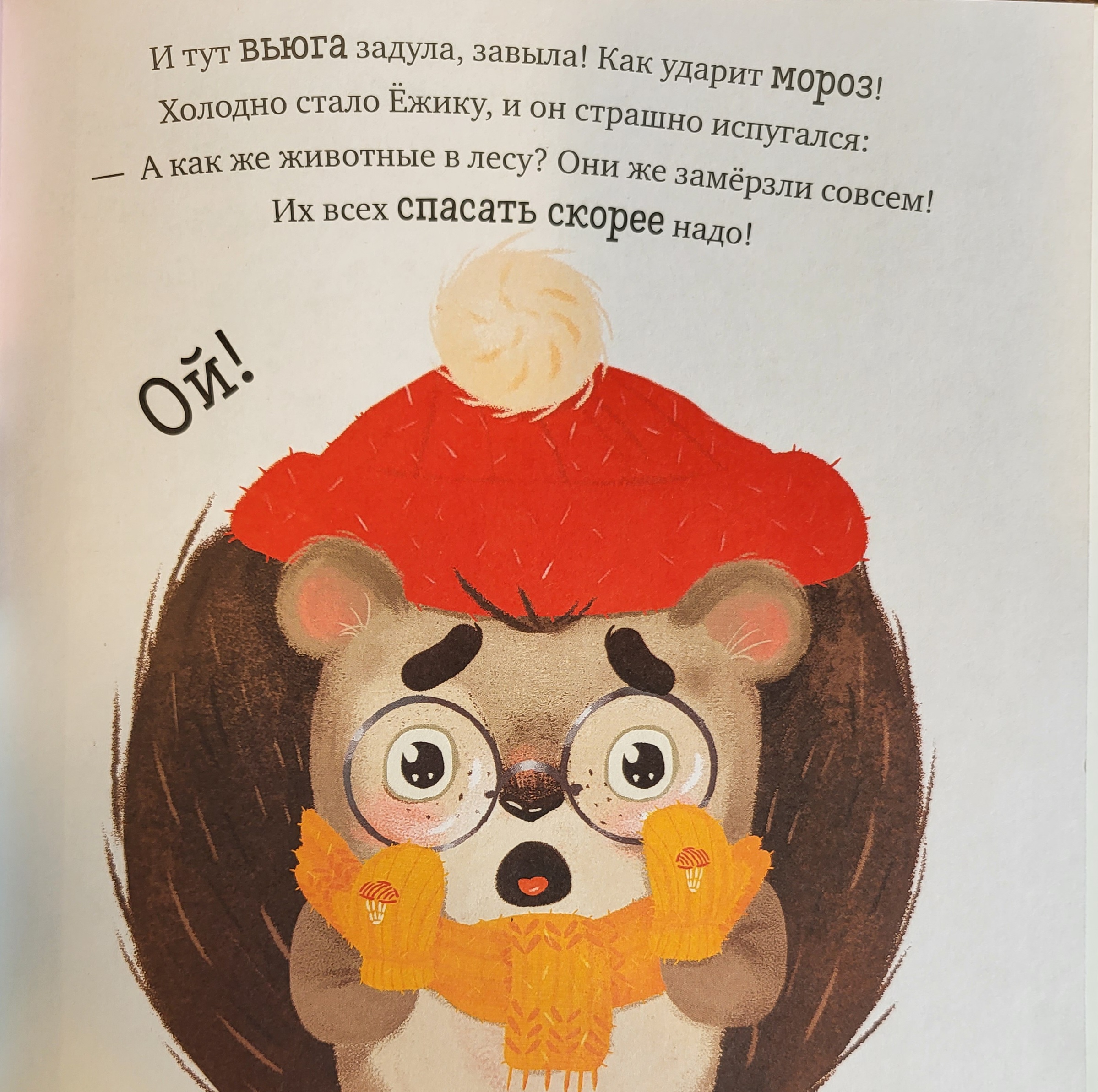 The Adventures of the Hedgehog. Year Round in the Forest