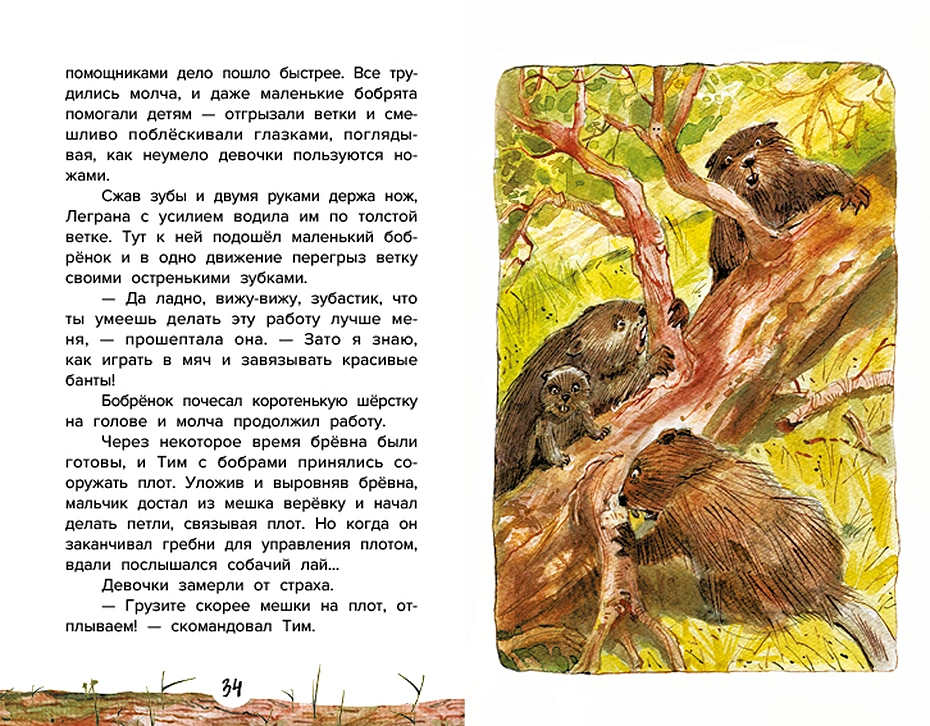 Przewodnik, czyli Pięć orzeszków cedrowych