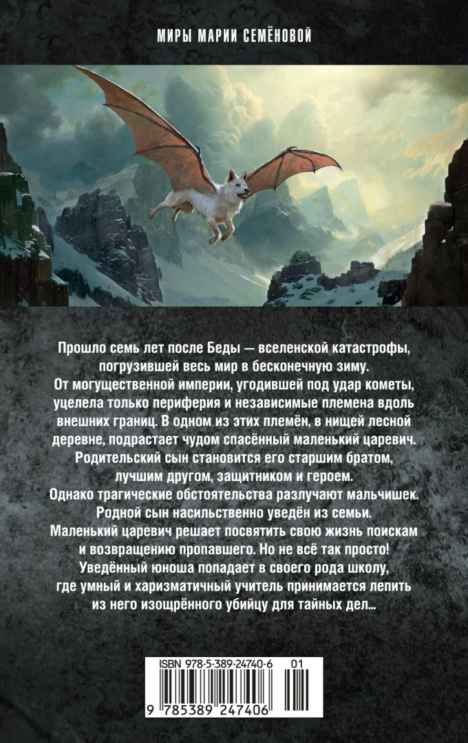 Brāļi. Grāmata 3. Rītdienas karalis. 1. sējums