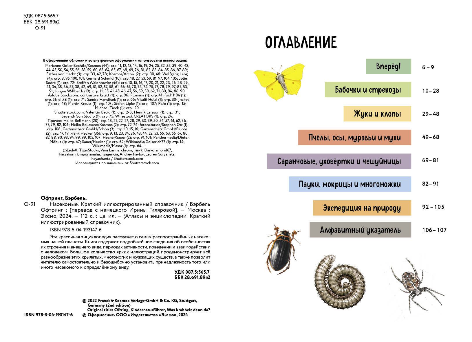 Owady. Krótki ilustrowany przewodnik