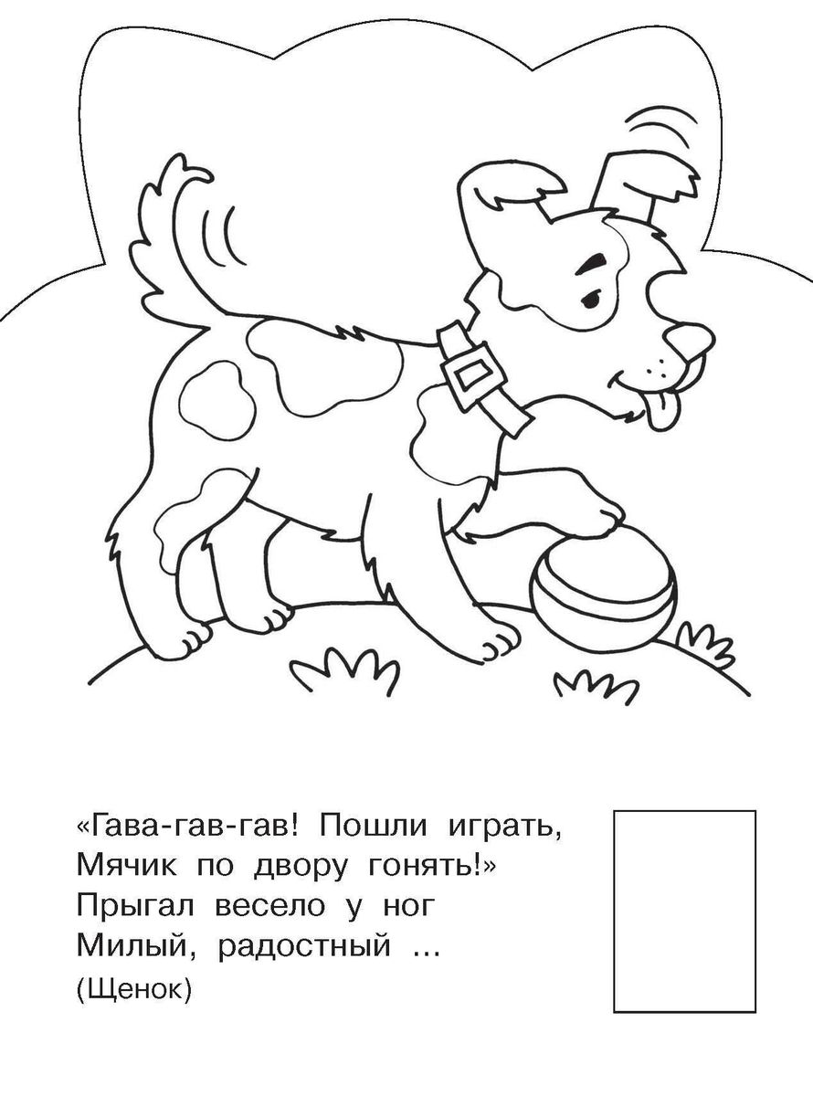 Mājas dzīvnieki