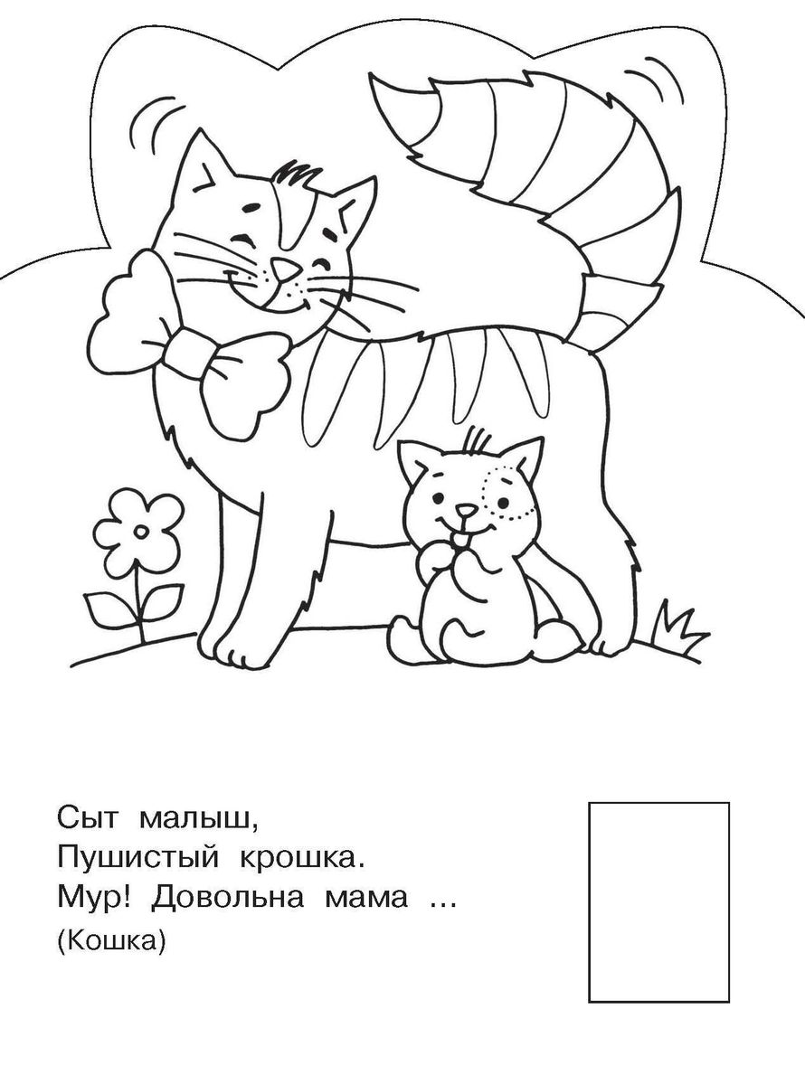 Mājas dzīvnieki