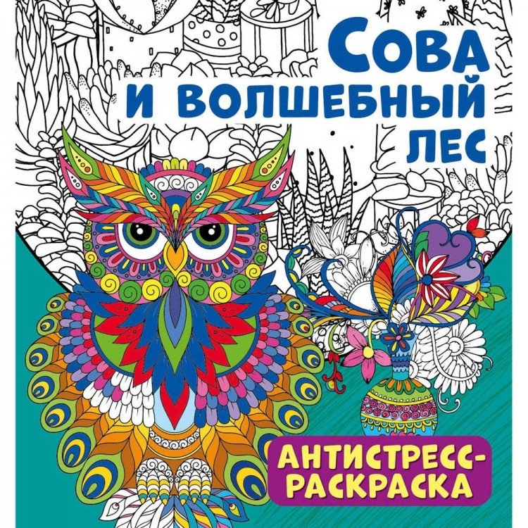 Antystresowa kolorowanka. Sowa i czarodziejski las