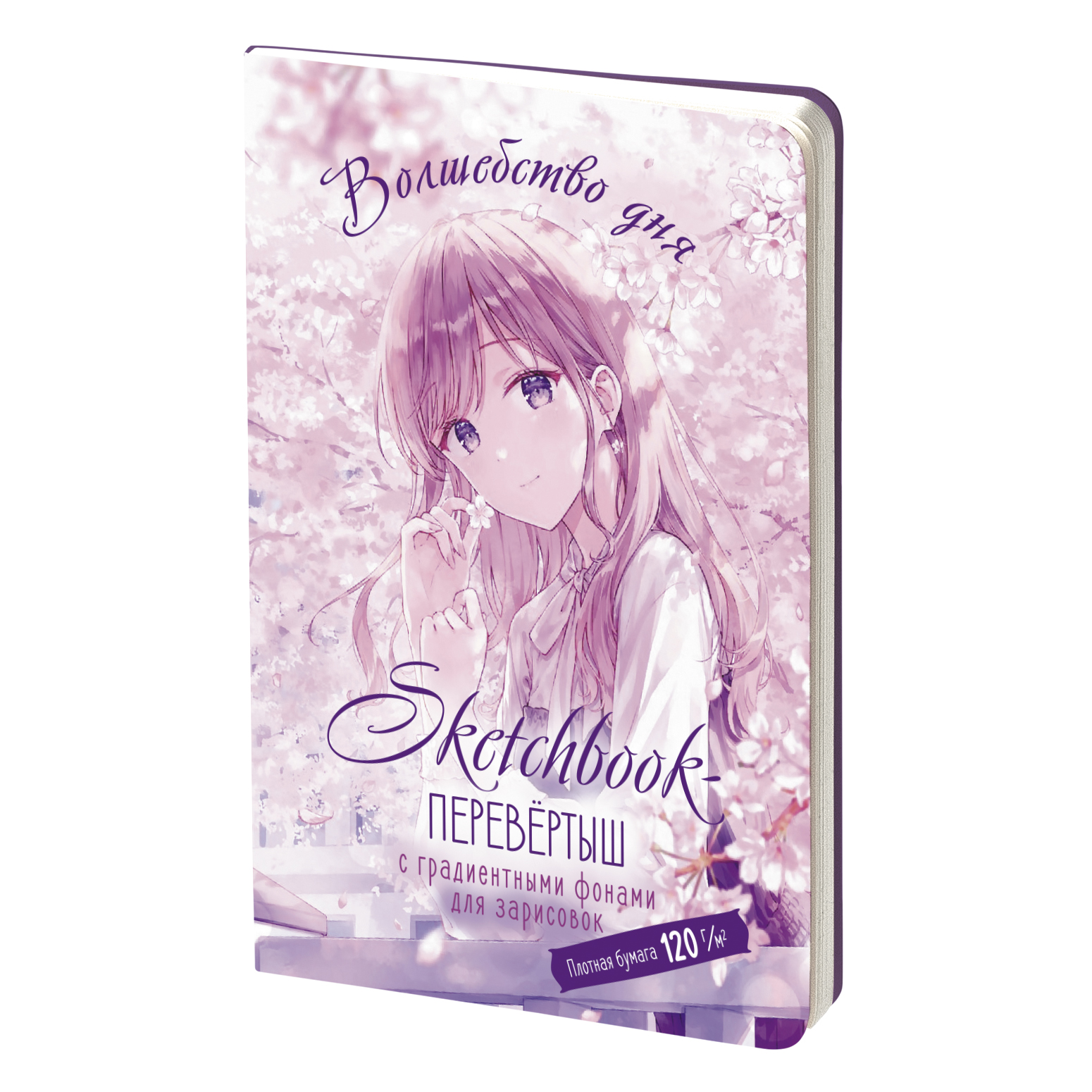 Skeču grāmata-pārveidotājs ANIME