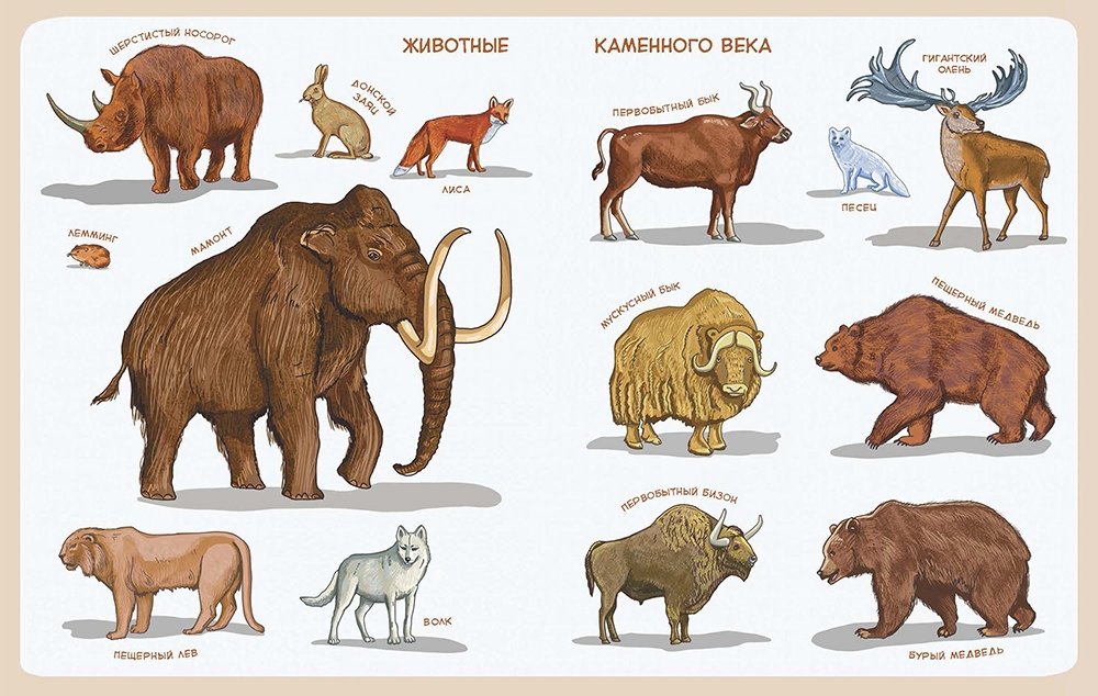 Wiek kamienia. Encyklopedia dla dzieci