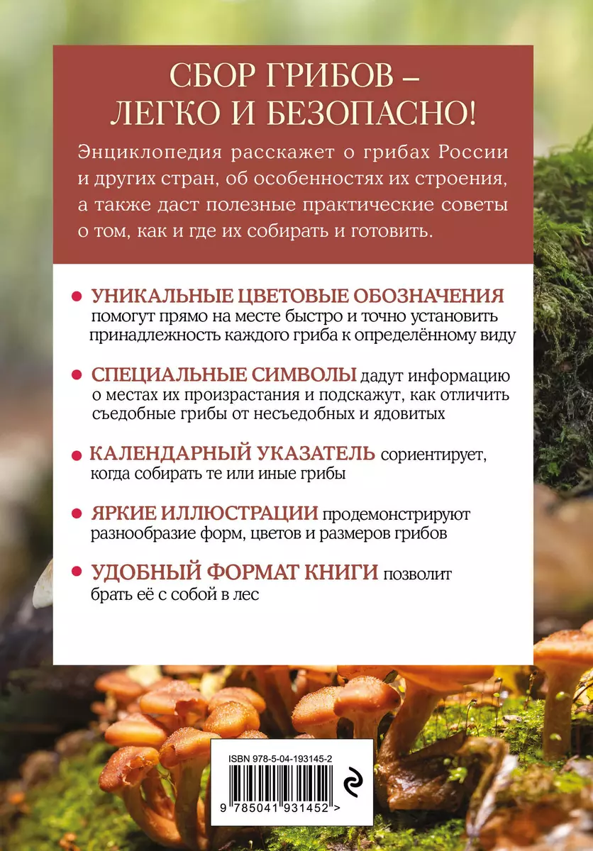Grzyby. Krótki ilustrowany przewodnik