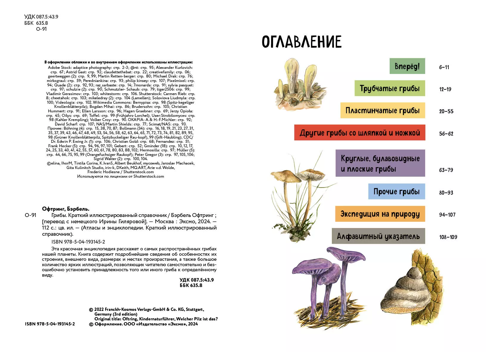 Grzyby. Krótki ilustrowany przewodnik