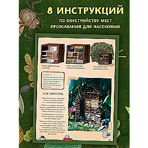 Город насекомых