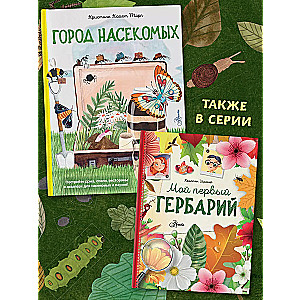 Город насекомых