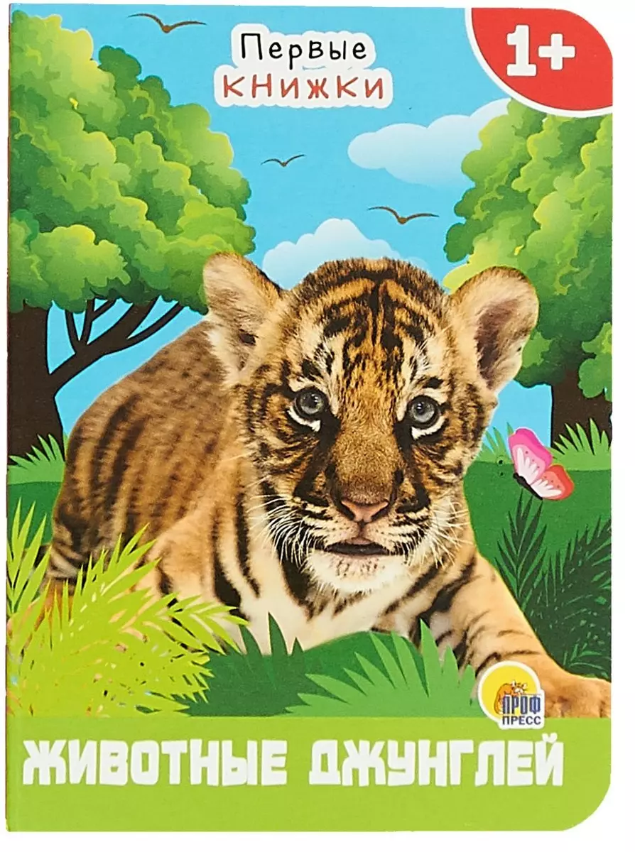 Jungle Animals