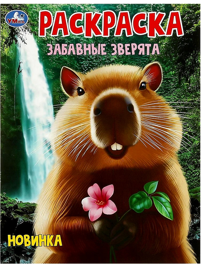 Zabawne zwierzęta. Kolorowanka