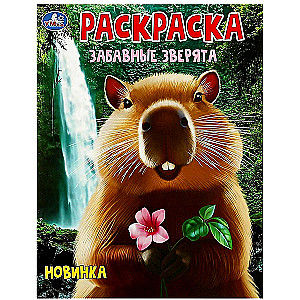 Zabawne zwierzęta. Kolorowanka
