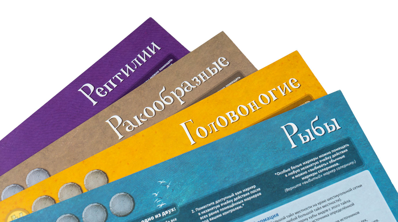 Dominējošās Suņi. Pasaules Okeāns