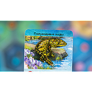 Dominējošās Suņi. Pasaules Okeāns