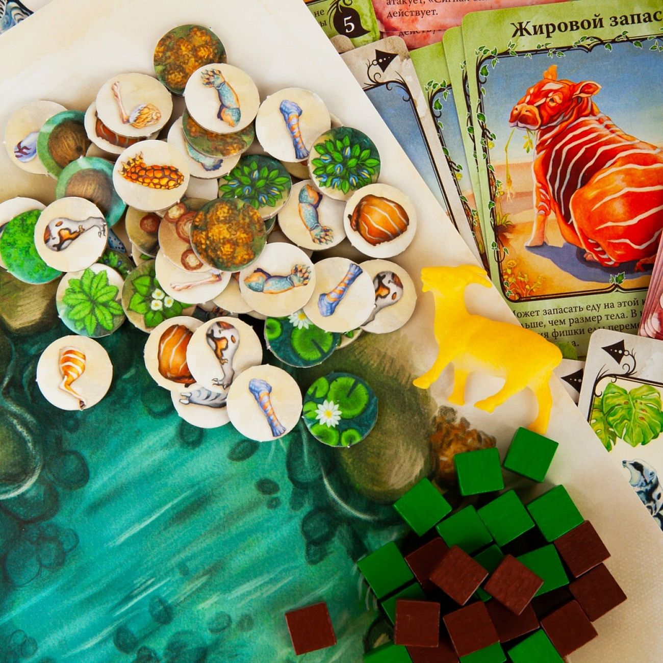 Gra planszowa Ewolucja. Selekcja naturalna